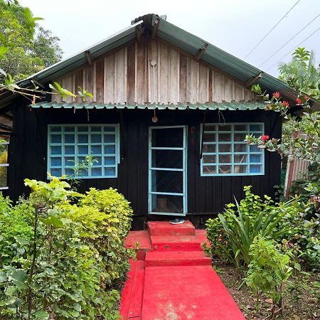 Flor De La Selva Lägenhet Puerto Nariño Exteriör bild