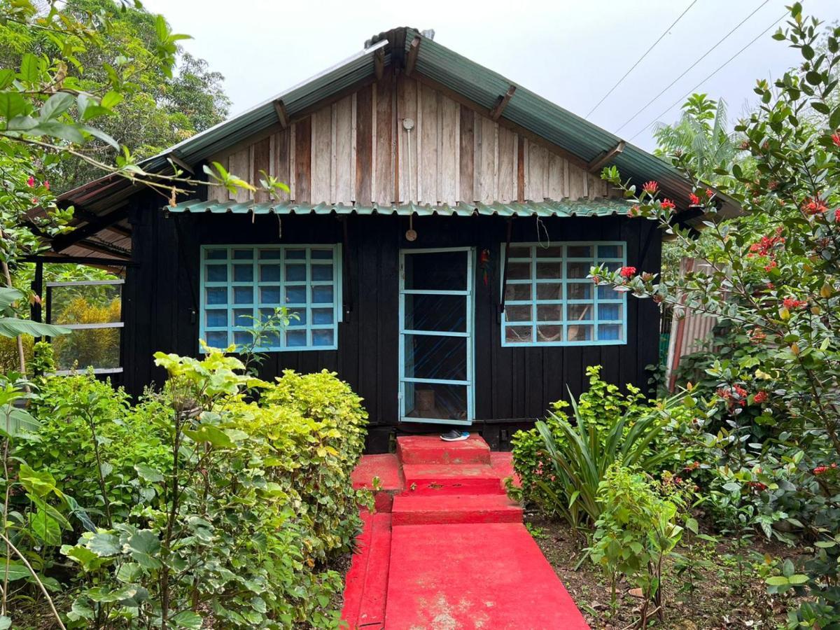 Flor De La Selva Lägenhet Puerto Nariño Exteriör bild