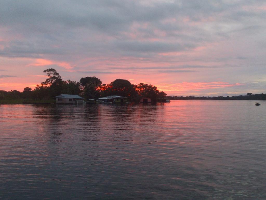 Flor De La Selva Lägenhet Puerto Nariño Exteriör bild